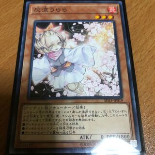 灰流うらら はるうらら