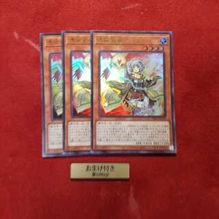 憑依装着-ライナ ウルトラレア