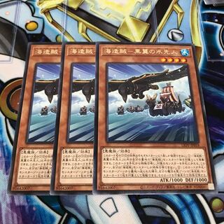 海造賊-黒翼の水先人 レア　Hulu 2258