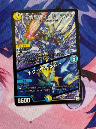 天命龍装 ホーリーエンド/ナウ・オア・ネバー