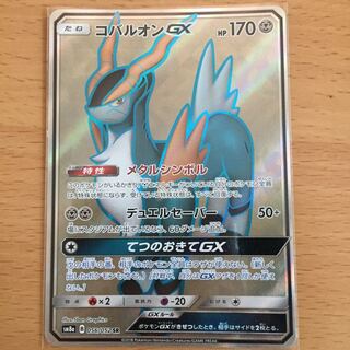 はつに様専用 コバルオン＆フェローチェ