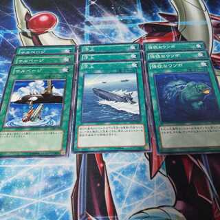 No.39 サルベージ 浮上 強欲なウツボ セット