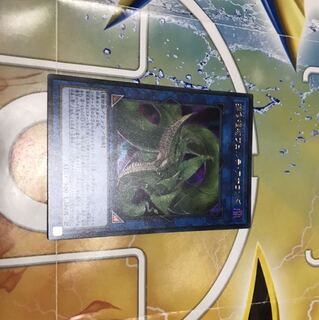 捕食植物ヴェルテアナコンダ