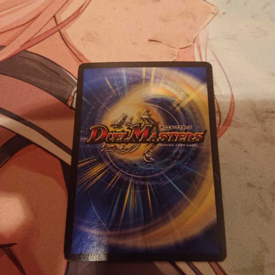 「特価品」 龍星装者 “B-我”ライザ