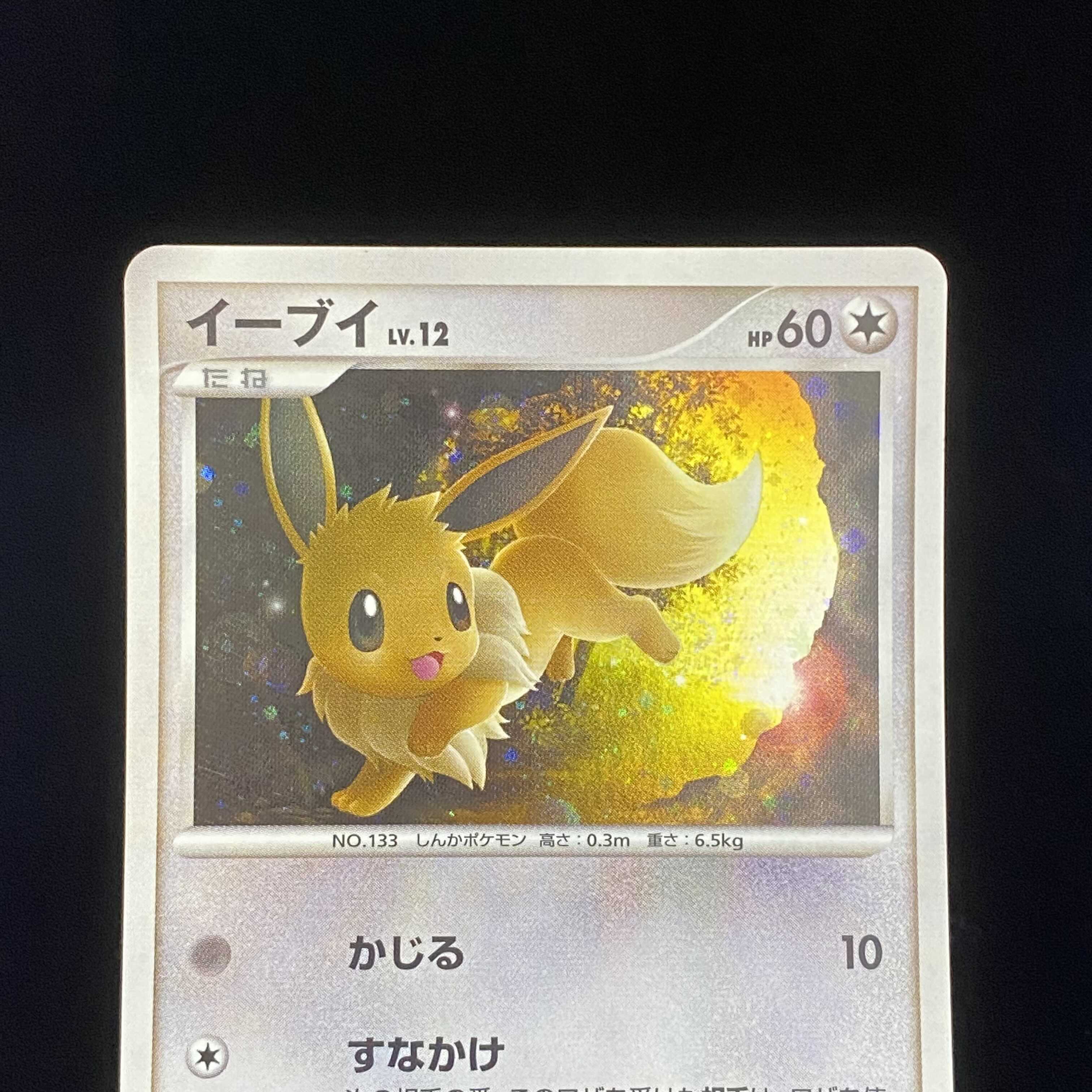Eevee Kira Lv.12 DPt
