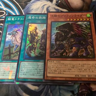 流離のグリフォンライダー　運命の旅路　騎竜ドラコバック　セット