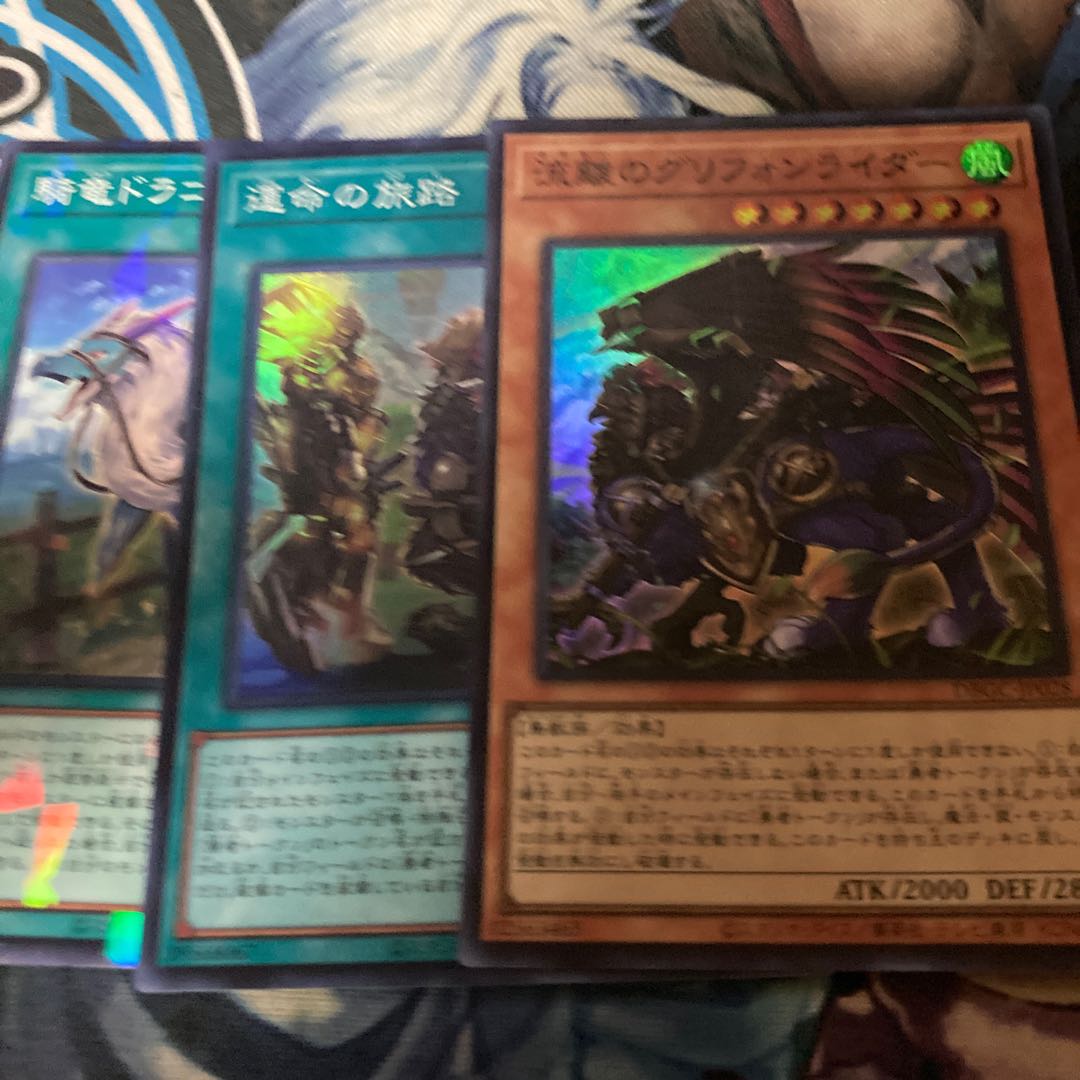 流離のグリフォンライダー　運命の旅路　騎竜ドラコバック　セット