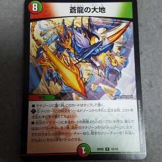 専用 蒼龍の大地2枚