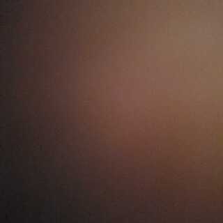 カラクリ将軍無零 募集