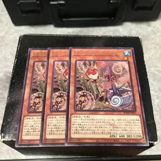 ふわんだりぃず×ろびーな レア3枚