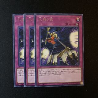 大捕り物3枚セット