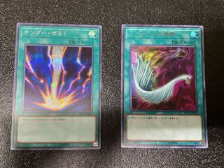 サンダーボルト ハーピィの羽根帚