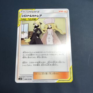 シロナ＆カトレア