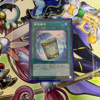 簡易融合 シークレット