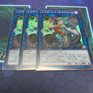 レプティレスエキドゥーナ 3枚