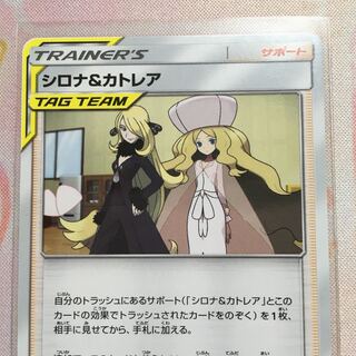 シロナ&カトレア