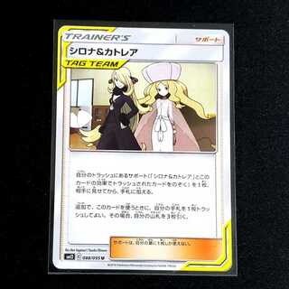 シロナ＆カトレア　1枚