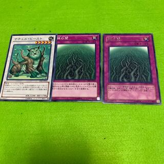 ナチュルビースト 棘の壁