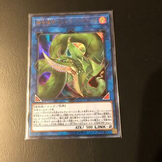 【たなSALE】捕食植物ヴェルテ・アナコンダ