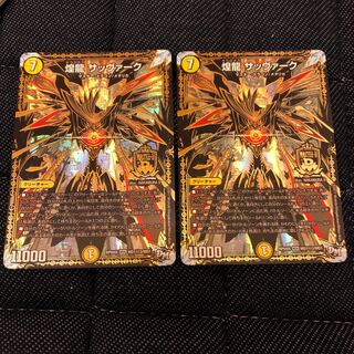 サッヴァーク秘3 1枚