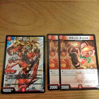 （本日限り）ドープDBLボーダー　ダチッコチュリス