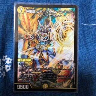 神聖龍 エモーショナル・ハードコア