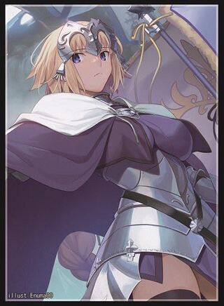 Fate FGO ジャンヌダルク　スリーブ　フレシア