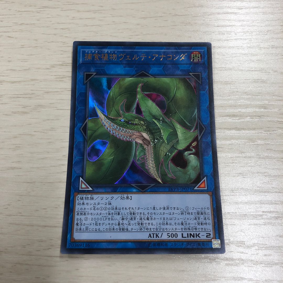 捕食植物ヴェルテ・アナコンダ ウルトラレア