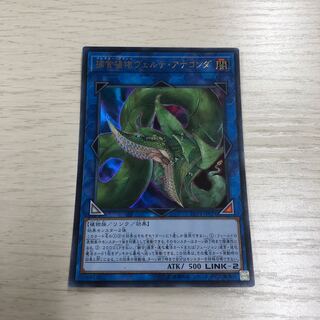 捕食植物ヴェルテ・アナコンダ ウルトラレア