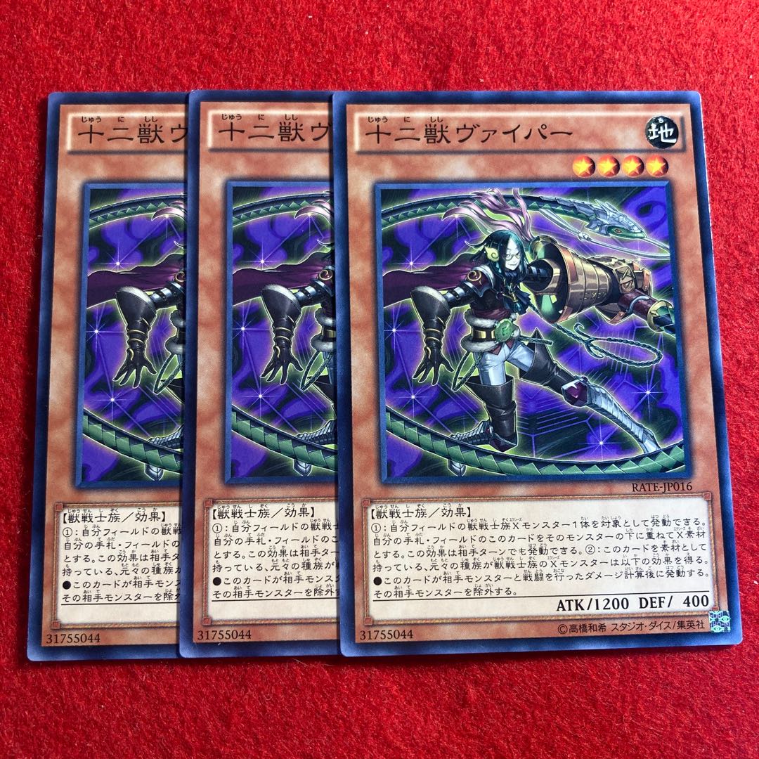 Zoodiac Whiptail☆3203