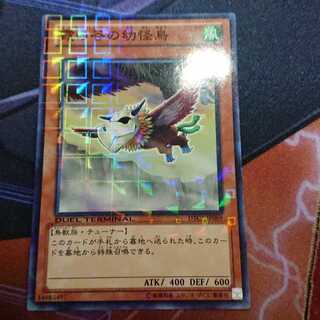 Mist Valley Baby Roc