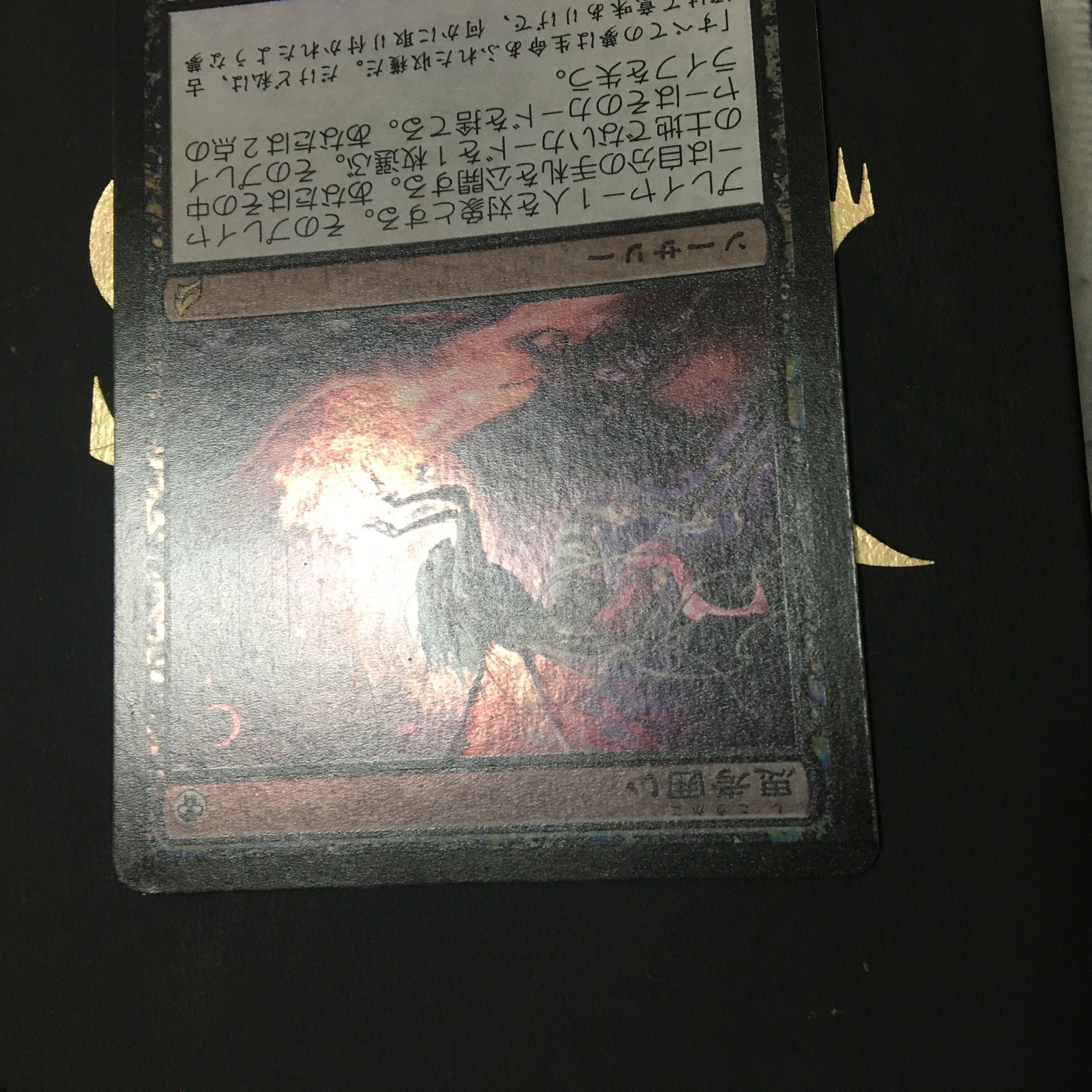 思考囲い　初版foil