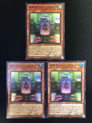 被検体ミュートリアM-05  ３枚セット　SR