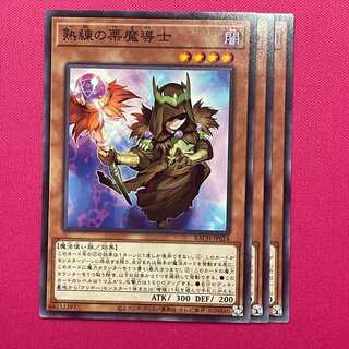 熟練の栗魔導士 3枚