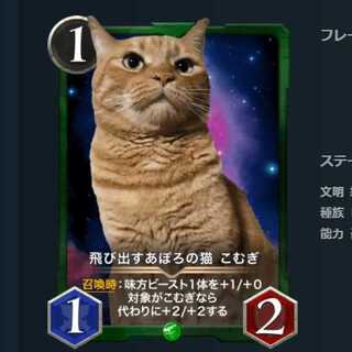 飛び出すあぽろの猫 こむぎ