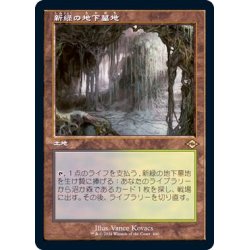 (旧枠仕様)新緑の地下墓地/Verdant Catacombs《日本語》【...