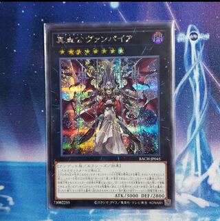 真血公ヴァンパイア　シク　シークレット