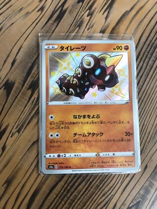 ワタシラガ　ドロンチ　タイレーツ　Sセット