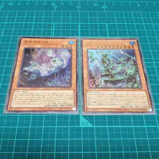 氷水のエジル+氷水帝コスモクロア