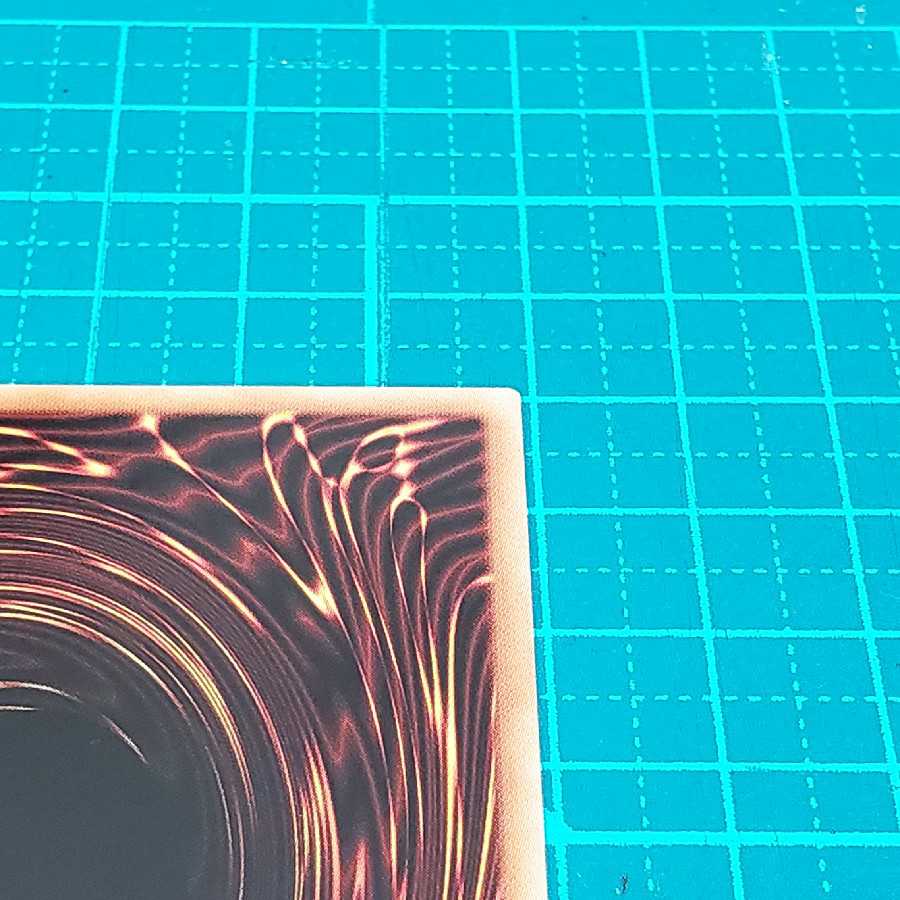 ダイノルフィア・ドメイン(プリシク)