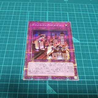 ダイノルフィア・ドメイン(プリシク)