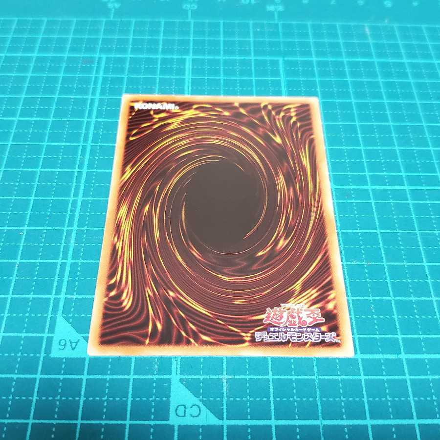 ダイノルフィア・ドメイン(プリシク)