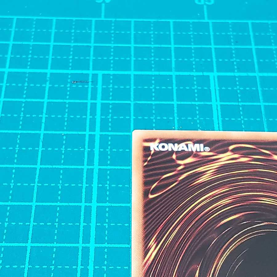 ダイノルフィア・ドメイン(プリシク)