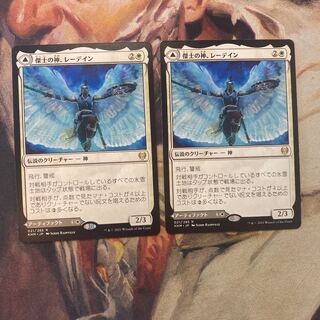 傑士の神、レーデイン　日2枚セット