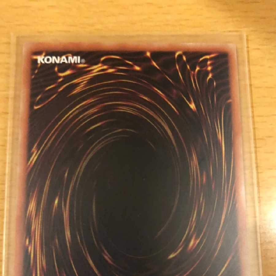 Princess Flashing Sword Rose