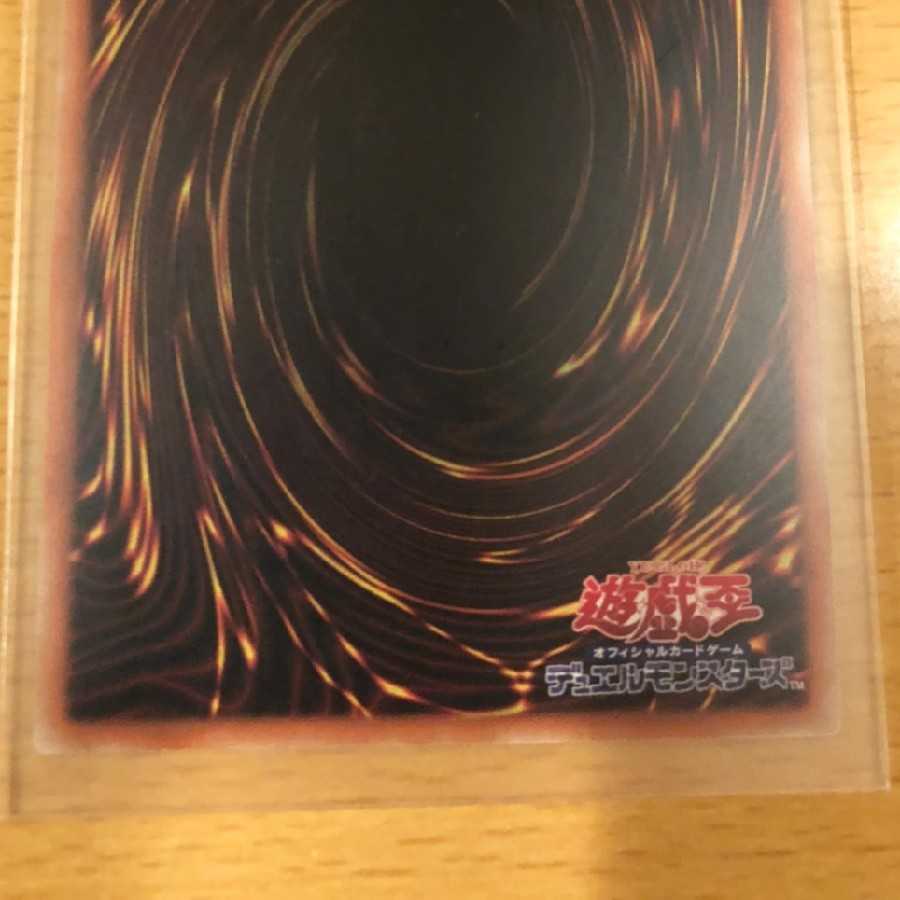 Princess Flashing Sword Rose