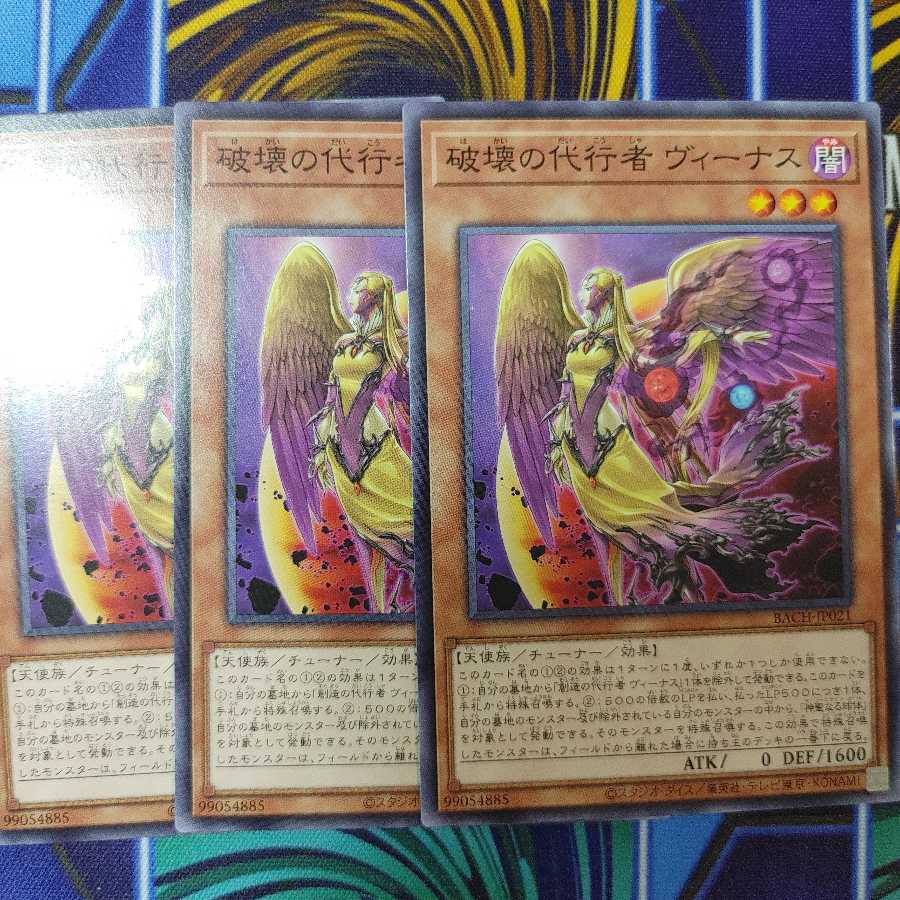 破壊の代行者 ヴィーナス