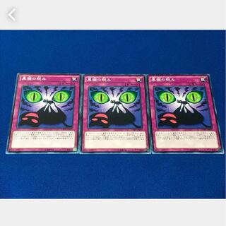 【ぽぽたん】遊戯王  5886  黒猫の睨み 3枚 ノーマル