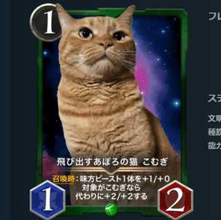 飛び出すあぽろの猫 こむぎ