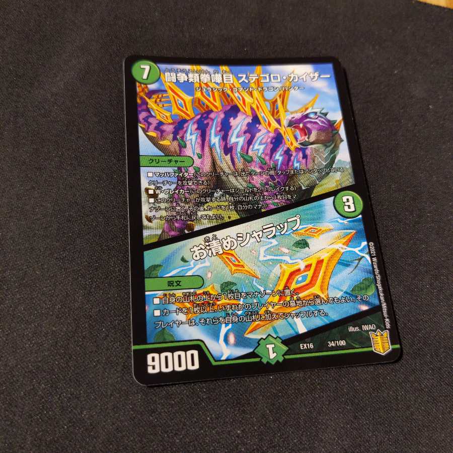 闘争類拳嘩目 ステゴロ・カイザー｜お清めシャラップ